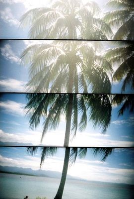 art by THE PHOTO CORNER , Gordonvale, Cairns, QLD | Displayed on The East Coast Arts Trail™
