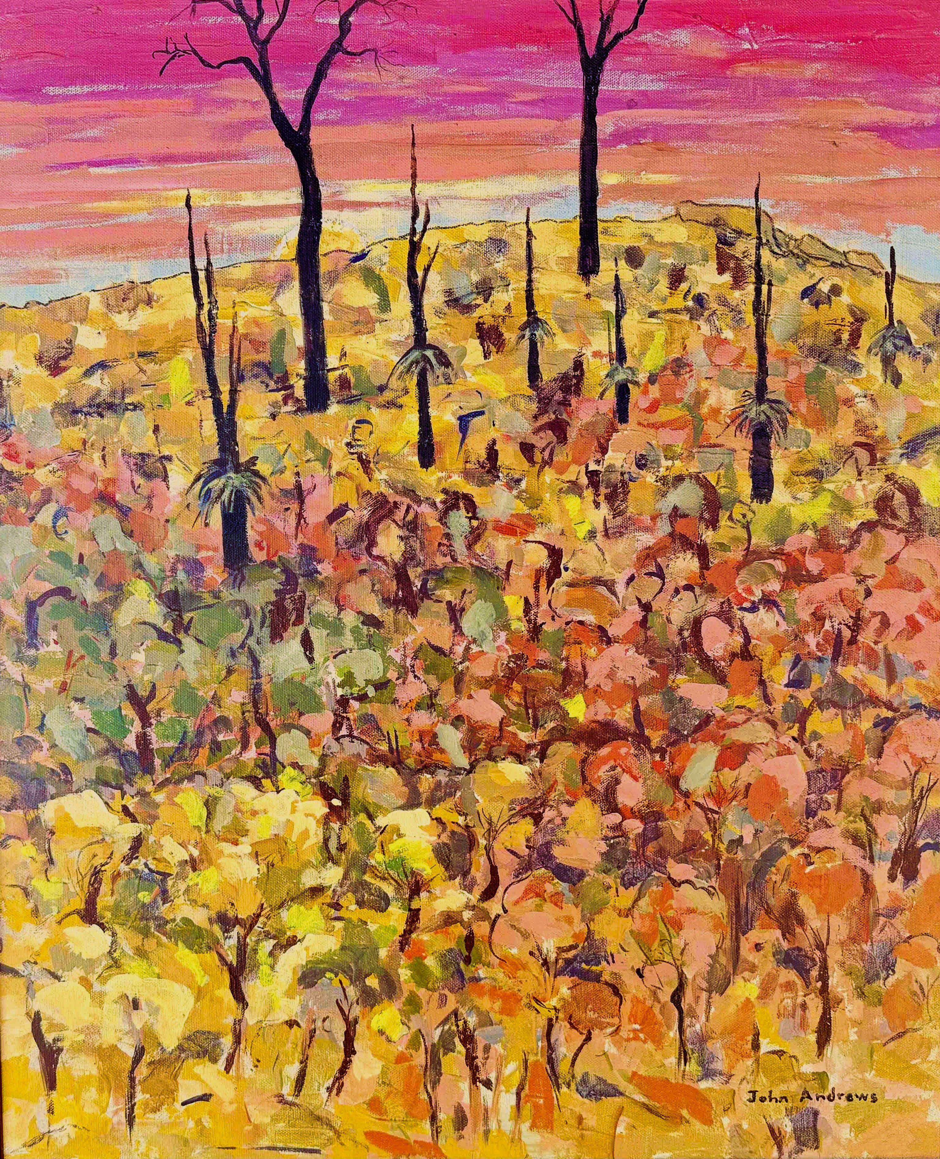 Acrylic on stretched canvas by John Andrews, NSW - Taree · NSW - Newcastle · NSW - Central Coast · NSW - Mid North Coast | Di