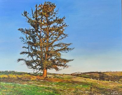Oil on canvas by ChristineDavisArt, SA - Adelaide | Displayed on The East Coast Arts Trail®