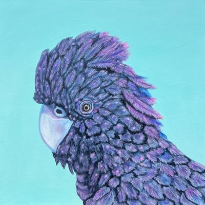 'Black Cockatoo' - Painting - Animals & Wildlife by Natalie Douglas | Featured on The East Coast Arts Trail®