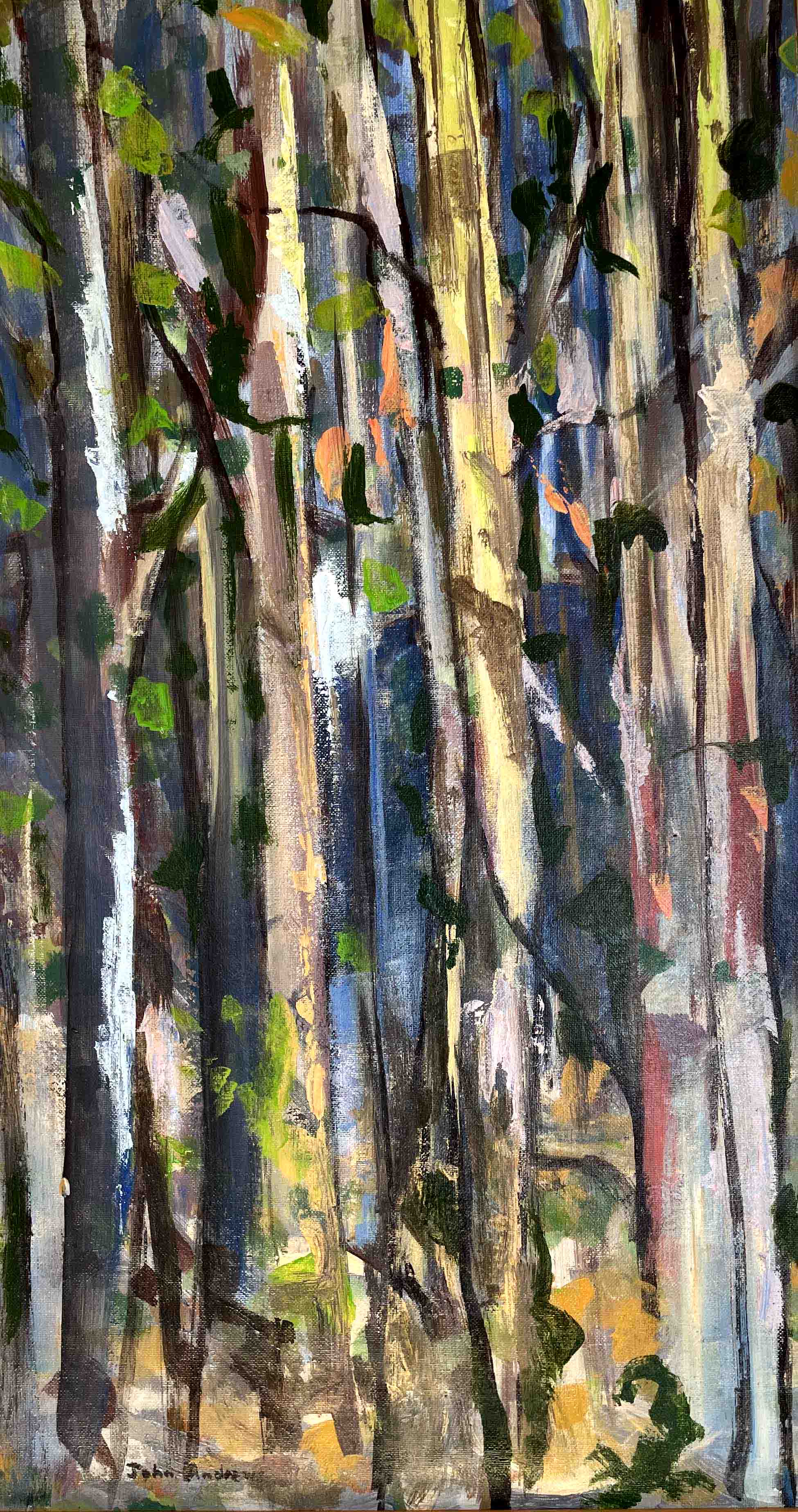 Original Acrylic on stretched canvas by John Andrews from NSW - Mid North Coast | The East Coast Arts Trail®