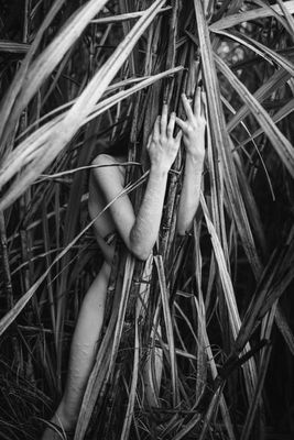 Photography artwork 'SKIN #14' by THE PHOTO CORNER  | The East Coast Arts Trail™