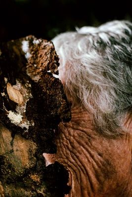 Photography artwork 'SKIN #17' by THE PHOTO CORNER  | The East Coast Arts Trail™