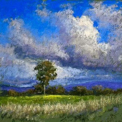 Original Pastel on Leaf Green Colourfix Paper by AmandaMcLeanFineArt from NSW - South West Slopes | The East Coast Arts Trail