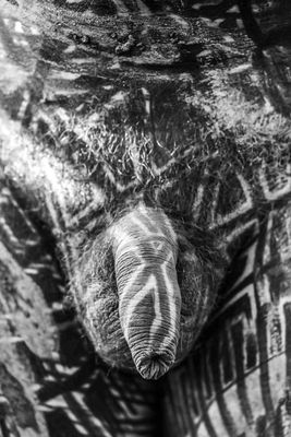 'SKIN #8' - Photography by THE PHOTO CORNER  | Featured on The East Coast Arts Trail™