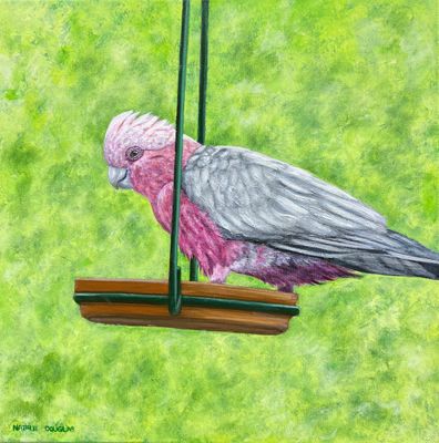 Acrylic on canvas  by Natalie Douglas, SA - Adelaide | Displayed on The East Coast Arts Trail®