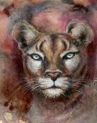 Original Acrylic and oil on 350gsm Paper by Philippa Gillett from WA - Wheatbelt | The East Coast Arts Trail®