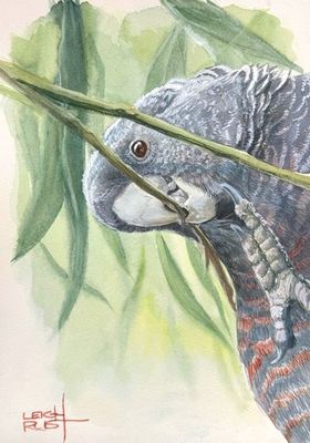Original watercolour on cotton paper by Leigh Rust from VIC - South-Eastern Metropolitan Region | The East Coast Arts Trail®