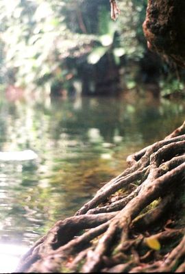 art by THE PHOTO CORNER , Gordonvale, Cairns, QLD | Displayed on The East Coast Arts Trail™