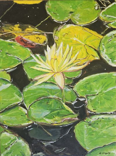 'Water Lily in Bloom' - Painting by ChristineDavisArt | Featured on The East Coast Arts Trail®