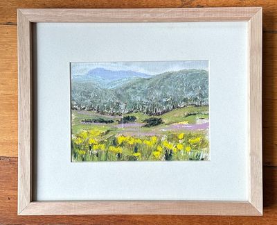 Original Soft pastels and watercolour, plus a touch of ink, on watercolour paper, professionally framed in Tasmanian oak with