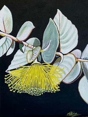 Original Acrylic  by m.o.i.r.a.r.t. from WA - Perth | The East Coast Arts Trail®