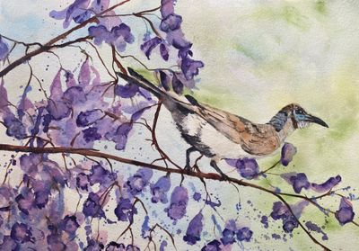 'Little Friarbird’s Moment' - Painting by Susan Wellingham | Featured on The East Coast Arts Trail™