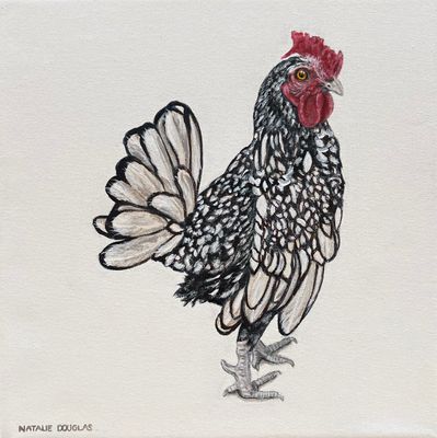 Painting artwork 'Seabright Rooster' by Natalie Douglas | The East Coast Arts Trail™