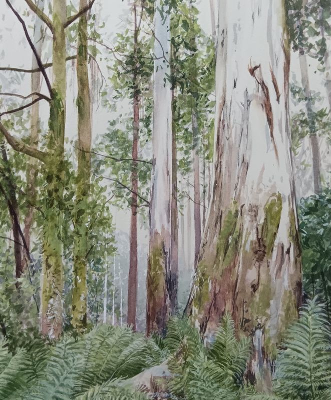 Original Watercolour on Saunders Waterford 300gsm HP Paper by Anne Kucera from VIC - Melbourne | The East Coast Arts Trail®