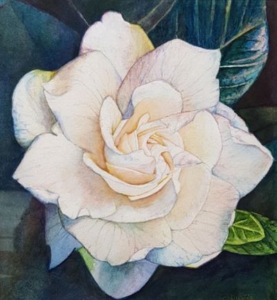 watercolour by ChristineDavisArt, SA - Adelaide | Displayed on The East Coast Arts Trail®