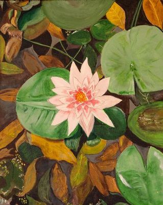 Acrylics  by janebriscoe, QLD - Sunshine Coast | Displayed on The East Coast Arts Trail™