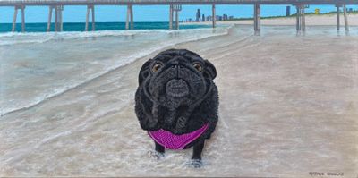 Painting artwork 'Pet Portrait' by Natalie Douglas | The East Coast Arts Trail™