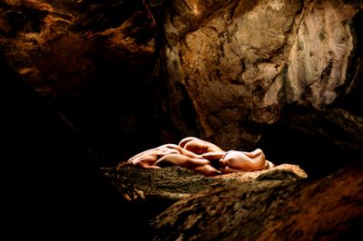 Photography artwork 'SKIN #25' by THE PHOTO CORNER  | The East Coast Arts Trail™