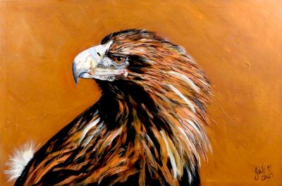 'Wedgetail Eagle' - Painting - Animals & Wildlife by Jules | Featured on The East Coast Arts Trail®
