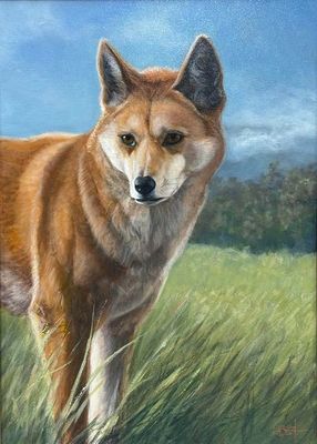 Painting - Animals & Wildlife artwork 'Kirri' by Leigh Rust | The East Coast Arts Trail®