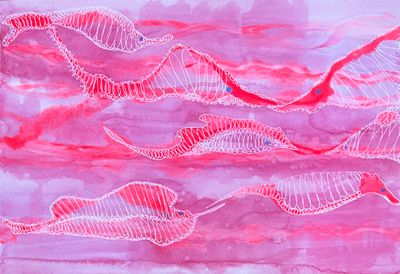 Original Fluro watercolours and pen by Carol Seeley Art from WA - South West | The East Coast Arts Trail®
