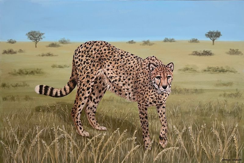 'Walking the Wild Shadows ' - Painting - Animals & Wildlife by Natalie Douglas | Featured on The East Coast Arts Trail®