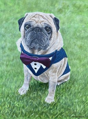 Painting artwork 'Pet Portrait ' by Natalie Douglas | The East Coast Arts Trail™