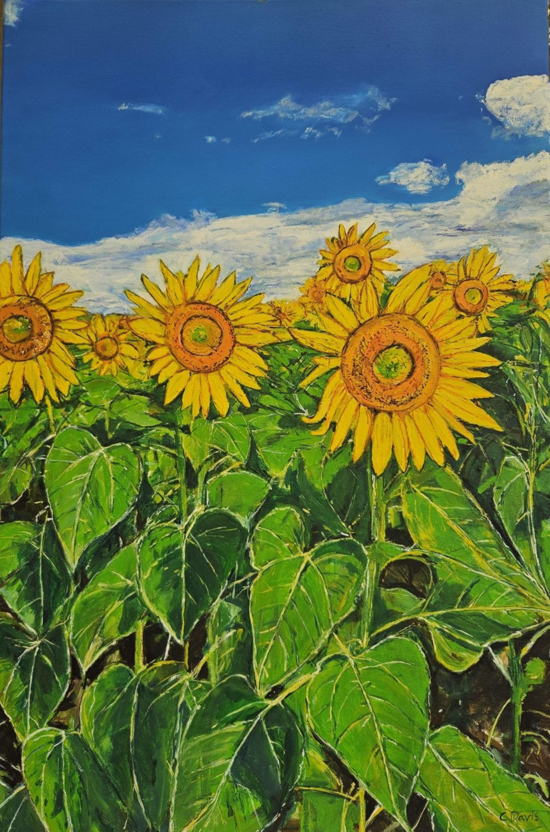 Oil on canvas by ChristineDavisArt, SA - Adelaide | Displayed on The East Coast Arts Trail®
