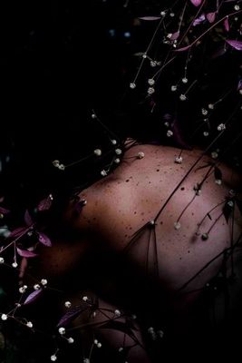 Photography artwork 'SKIN #3' by THE PHOTO CORNER  | The East Coast Arts Trail™