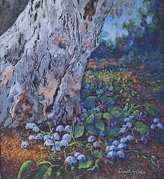Original Pastel by helenmilesart@yahoo.com.au from VIC - Northern Victoria Region | The East Coast Arts Trail®
