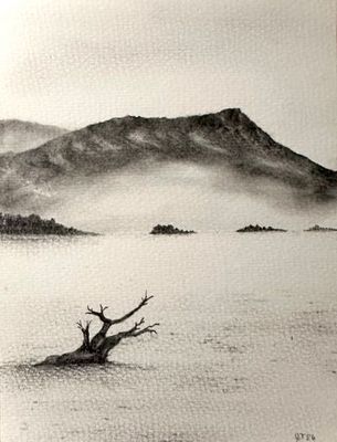 Original Pastel by Simon Terry from QLD - Gold Coast | The East Coast Arts Trail®