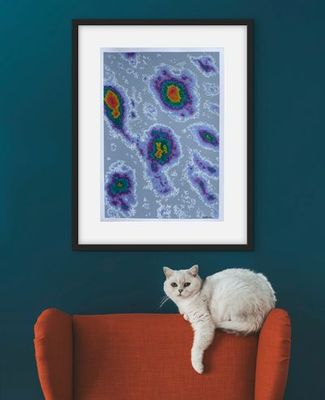 Oil Paedtel on Colour Fix Paper by Kathrine Contrary, QLD - Brisbane | Displayed on The East Coast Arts Trail®