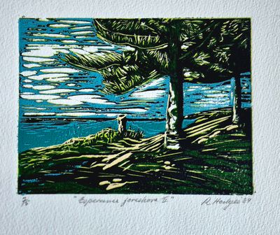 'Esperance Foreshore ' - Printmaking by Ros Mathews | Featured on The East Coast Arts Trail®