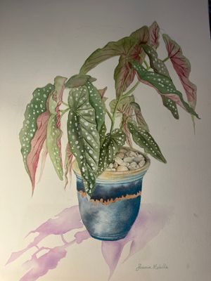 Original Watercolour  by Shannon Melville from WA - Perth | The East Coast Arts Trail®