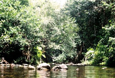 Original art by THE PHOTO CORNER  from Gordonvale, Cairns, QLD | The East Coast Arts Trail™
