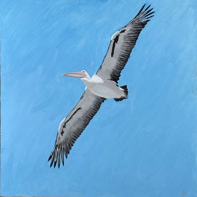 'Pelican Flight' - Painting by Geoff Hargraves | Featured on The East Coast Arts Trail®