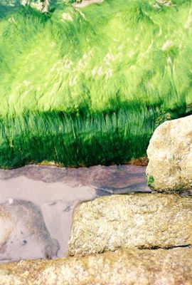 art by THE PHOTO CORNER , Gordonvale, Cairns, QLD | Displayed on The East Coast Arts Trail™