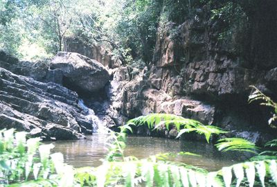 Original art by THE PHOTO CORNER  from Gordonvale, Cairns, QLD | The East Coast Arts Trail™