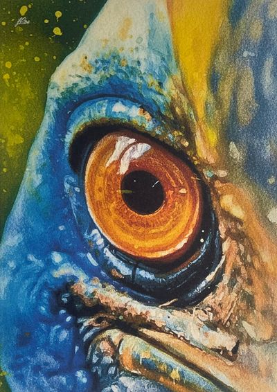 Painting artwork 'Close encounters with a Cassowary' by Colours Of A Hidden Disability by jfLowe | The East Coast Arts Trail®