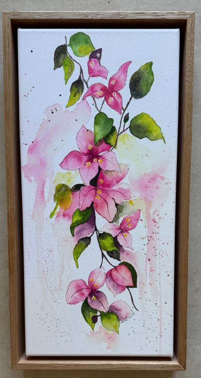 Fine Art Prints artwork 'Bougainvillea ' by Marg Watt | The East Coast Arts Trail®