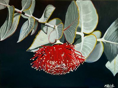 '“Eucalyptus macrocarpa gum tree' - Painting - Acrylic by m.o.i.r.a.r.t. | Featured on The East Coast Arts Trail®