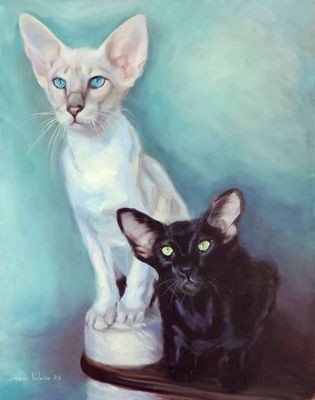 Original Oil on board. Ready to hang. by Elena Valerie from QLD - Gold Coast | The East Coast Arts Trail™
