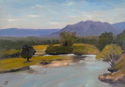 Original Oil on Canvas Panel by Sharon Smith from NSW - Coffs Harbour | The East Coast Arts Trail®