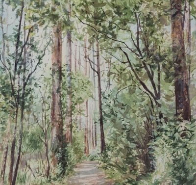 Original Watercolour on Saunders Waterford 300gsm CP Paper by Anne Kucera from VIC - Melbourne | The East Coast Arts Trail®