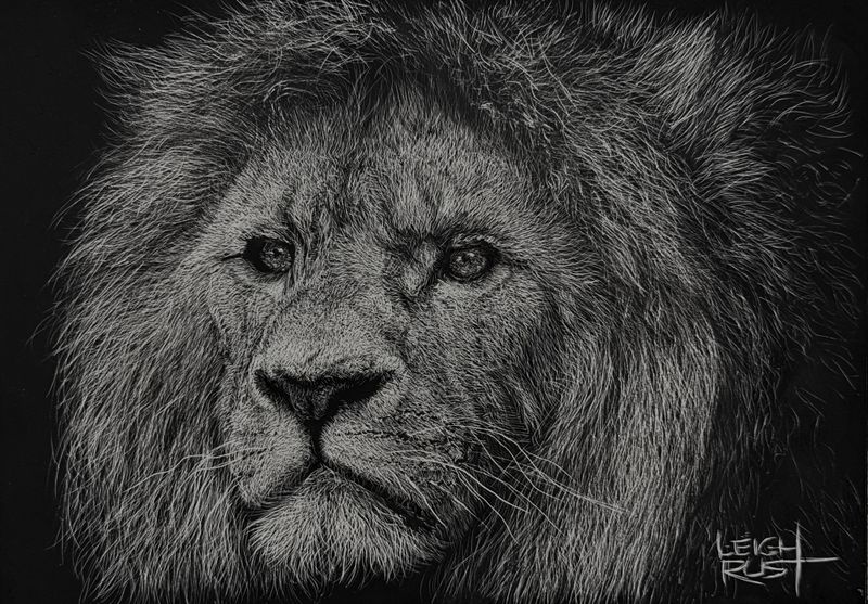 'Jabari' - Painting - Animals & Wildlife by Leigh Rust | Featured on The East Coast Arts Trail®