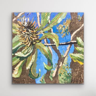 Painting artwork 'Blue sky banksias' by Carla van Laar | The East Coast Arts Trail™